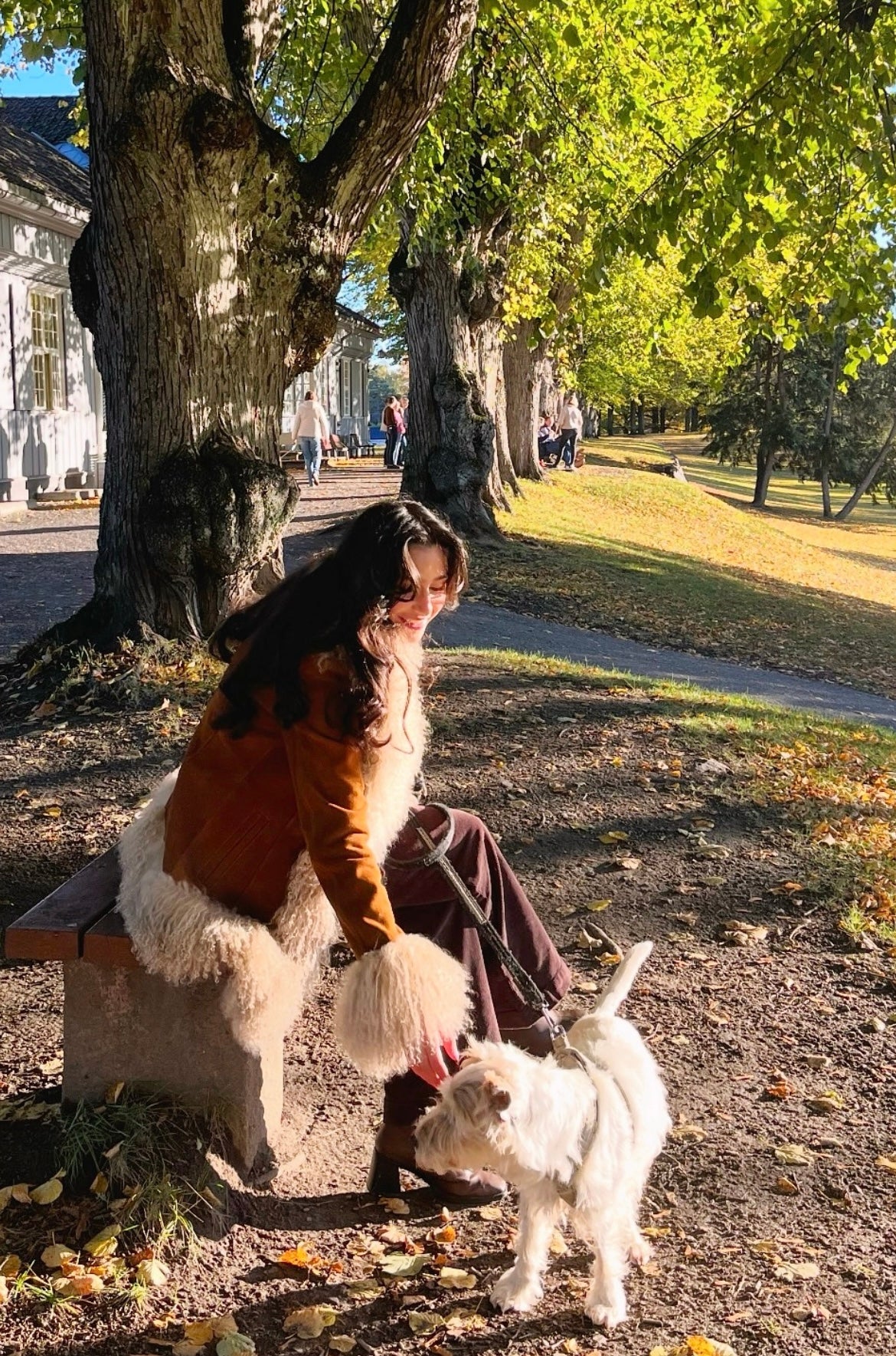 Brown suede & beige fur